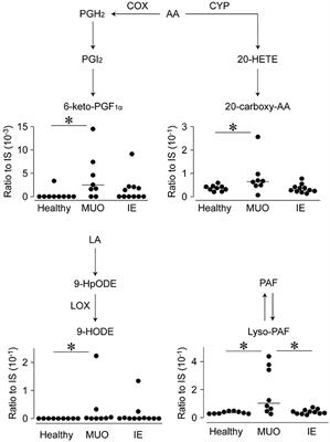 Lipid metabolites and nitric oxide production in the cerebrospinal fluid and plasma of dogs with meningoencephalitis of unknown origin and idiopathic epilepsy: a pilot study